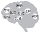 加藤俊徳の「リーダー脳のつくり方」ＣＤ
