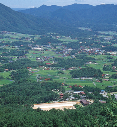短パン社長 奥ノ谷 圭祐氏