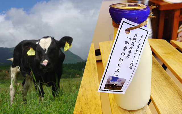 四季折々で味が違うまさに自然の力で作られた牛